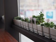 -Africafe(非洲咖啡)