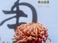 -南山植物园