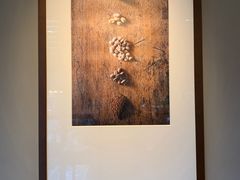 -星巴克(常州新北公园店)