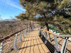 -白水寺森林公园