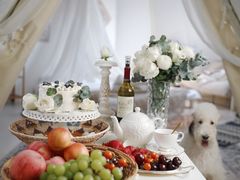 -安德鲁户外烧烤帐篷营地(马泉营店)