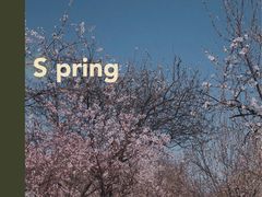 -桃花堤公园