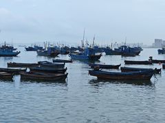 -海源公园