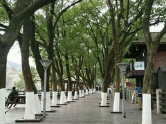 -白马涧龙池景区