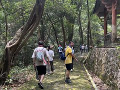 -飞霞风景名胜区