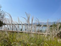 -野鸭湖国家湿地公园