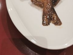 -老吉士酒家(天平路店)