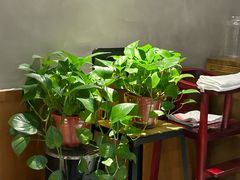 -山丹丹西北菜(金贸大厦店)