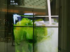 -36抹茶·千层与鲜果茶(欢乐海岸店)