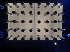 -侵华日军南京大屠杀遇难同胞纪念馆
