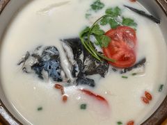 -全乐鱼馆·淳牌有机鱼直营店