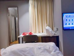 -新加坡柏薇罗切斯特酒店