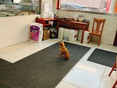 -周师饭店