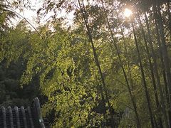 -求雨山文化公园