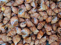 海螺-青石桥市场北1-27号