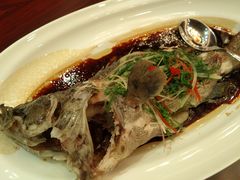 清蒸鱼-汕头龙光喜来登酒店-采悦轩中餐厅