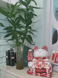 -博士园养发馆