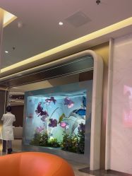 -深圳米兰柏羽医疗美容医院