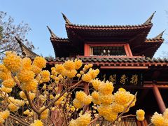 -白鹭洲公园
