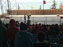 -东方熊牧场