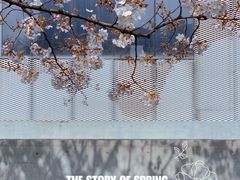 -龙美术馆(西岸馆)