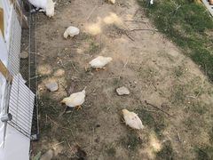 -太阳岛旅游度假区