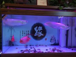 -至爱至信新中式SPA疗愈会所