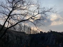 -上海辰山植物园