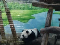 -柳州市动物园