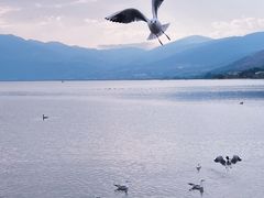 -西昌邛海湿地