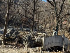 -阳台山自然风景区