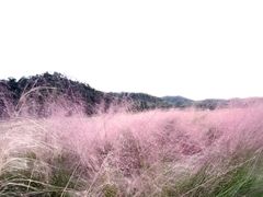 -东钱湖旅游度假区