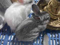 -三旗百汇商品城