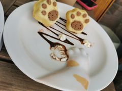 -喵屿·大理花园猫咖