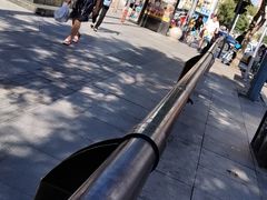 -长白岛森林公园