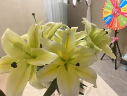 -唯伊美塑身美养连锁