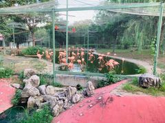 -石家庄市动物园