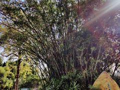 -晓港公园