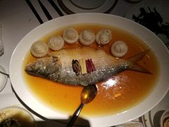 鲥鱼-苏浙总会(国金中心店)