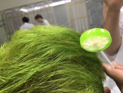 点击看大图 -BM SALON