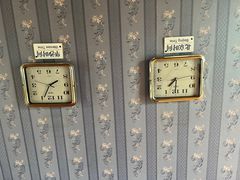-金山农民画村-枫泾波兰倒置屋