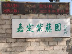 -嘉定紫藤园
