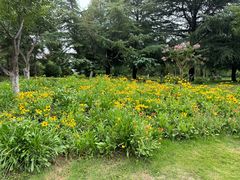 -济南国际园博园