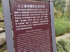 -成都市活水公园