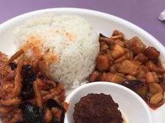 -南宫五洲植物乐园