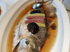 -望乡楼上海菜(日月光店)