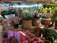 -双季花艺园艺市场(浦东店)