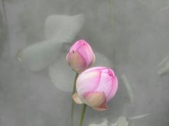 -黄兴公园