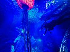 -沈阳海洋探索中心