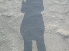 -白鹿仓冰雪海洋世界
